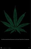 MARIJUANA POSTER WEED 24 LEAF POT STREET HOT TERMS 1301