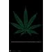 MARIJUANA POSTER WEED 24 LEAF POT STREET HOT TERMS 1301