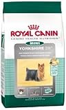 Royal Canin Mini Breed Yorkshire Dog (28) (10-lb Bag)