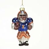 Illinois Fighting Illini 4
