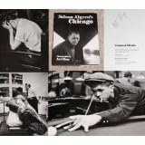 Nelson Algren's Chicago (Visions of Illinois)