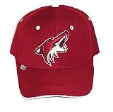 Phoenix Coyotes Official Team Flex Fit Slouch Hat - S/M (7- 7 1/4)