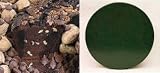 All Star Chocolate 10 Coffee Cake (Green Gift Tin)