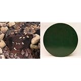 All Star Chocolate 10" Coffee Cake Green Gift Tin by Boba Tea Direct