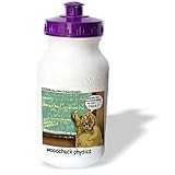 Londons Times Funny Animals Cartoons - Woodchuck Physics - Water Bottles