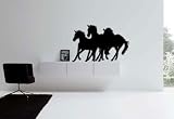 Vinyl horse herd running decal--28 X 18 inch sticker-- sold by aluckyhorseshoe