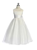 Organza Skirt Dress with Embroidered Bodice Flower Girl Dress