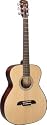 Alvarez RF010 Regent Series Folk Acoustic Guitar