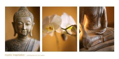 Mystic Inspiration by Tom Weber. CANVAS with 1 1/2 inch bars. 35.92 inches width by 14.81 inches height. Highest Quality Art Poster Print
