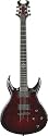 Schecter Devil Custom Electric Guitar Blood Red Burst (BRB) 
