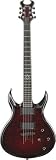 Schecter Devil Custom Electric Guitar (Blood Red Burst)