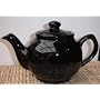 Rayware Teapot Black Two-Cup