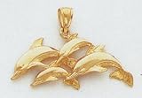 Dolphin Charm