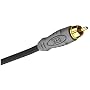 Monster Cable THX V100 R-4 Composite Video Cable
