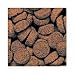Sinking Carnivore Pellets - 2.2 lb.