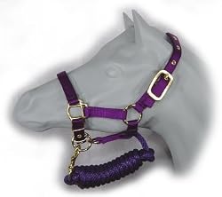 Nylon Halter with Adjustable Chin and Matching Lead for Miniature Horses and Ponies