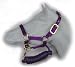 Sporting Goods : Nylon Halter with Adjustable Chin and Matching Lead for Miniature Horses and Ponies
