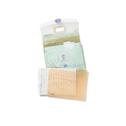 Baby Briefcase Baby Paperwork Organizer, Mint/Periwinkle