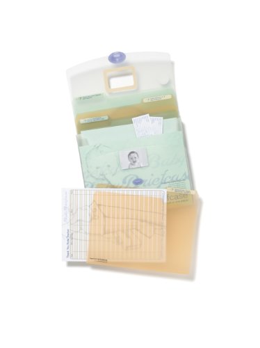 External hard drive:Baby Briefcase Baby Paperwork Organizer, Mint/Periwinkle