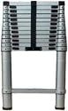 Extend & Climb Telescoping Ladder