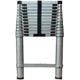 Extend and Climb Telescoping Ladder