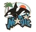 Orlando Magic City Pin