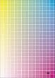 10th Anniversary Complete Visual Collection of T.M.Revolution『1000000000000』-billion- [DVD]
