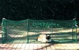 Kittywalk Outdoor Cat Run (Deck & Patio Version)