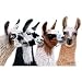 Llamas Adult Sweatshirt