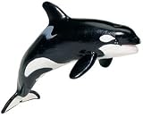 Monterey Bay Aquarium - Killer Whale Adult