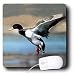 Birds - Mallard Duck - Mouse Pads