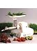 Miracle MJ-550 SS Stainless Steel Wheatgrass Juicer