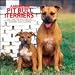 American Pit Bull Terriers 2006 - 2007 Academic Year Wall Calendar