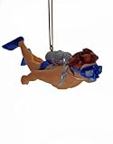Tropical Aquatic Ocean Mr Diver Swim Ornament