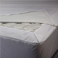 SecureSleep Mattress Protector Size: Queen