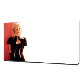 bryce-dallas-howard-38290 - Impression De Toile Artistique - Taille Du Cadre 100x150cm - Tr�s haute Qualit� - Emball� Avec Du Mat�riel Professionnel Dans Un Solide Cadre De 5cm Pr�t � �tre Accroch�.