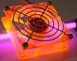 PCToys 80mm Orange UV Fan.