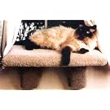 Extra Large Padded Cat Window Perch : Color SPECKLED SAND : Size EXTRA LARGE PERCH