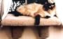 Large Padded Cat Window Perch : Color NATURAL : Size LARGE PERCH