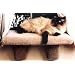 Large Padded Cat Window Perch : Color NATURAL : Size LARGE PERCH