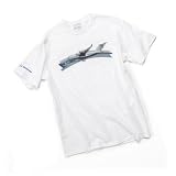 C-17 Globemaster III Color Band Youth T-shirt