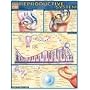 Reproductive System Laminated Reference Guide (Quickstudy: Academic)