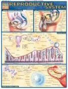 Reproductive System (Quickstudy: Academic)