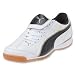 PUMA Liga XL IT Indoor Soccer Shoes (Wh/Nv/Team Gd)