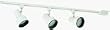 TRACK LIGHT KIT (Thomas Lighting TR204-8)