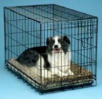 Cozy Wire Dog or Cat Crate, Small