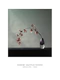 Orchids 1982 by Robert Mapplethorpe. Art Print Poster 23.5 inches width by 31.5 inches height. Highest Quality Art Poster Print