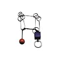 Family Games IQ Collection Beetle Bug Wire Puzzle