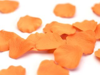 1000 Wedding Silk Rose Petals Popsicle Orange Tangerine