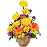Lilies - Golden Season